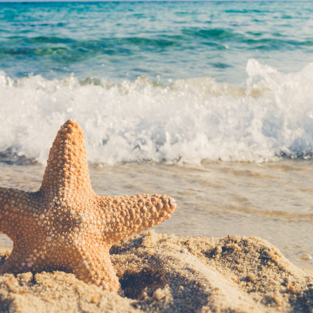 El Poder Transformador del Perdón: Un Camino hacia la Libertad Emocional