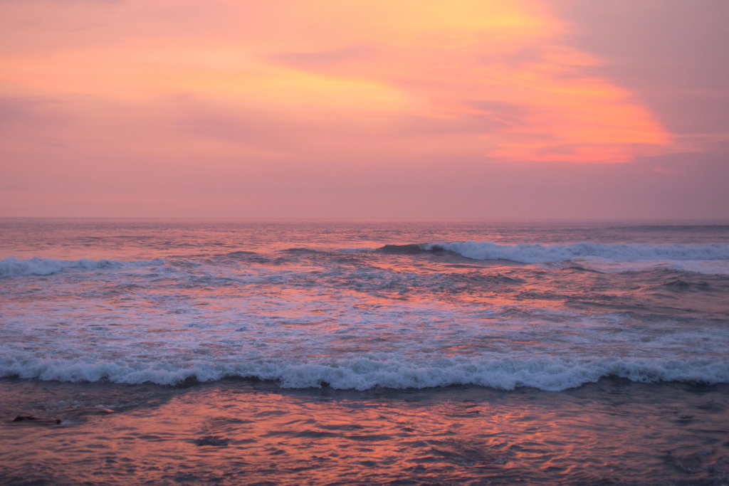 Diseño sin título (7)