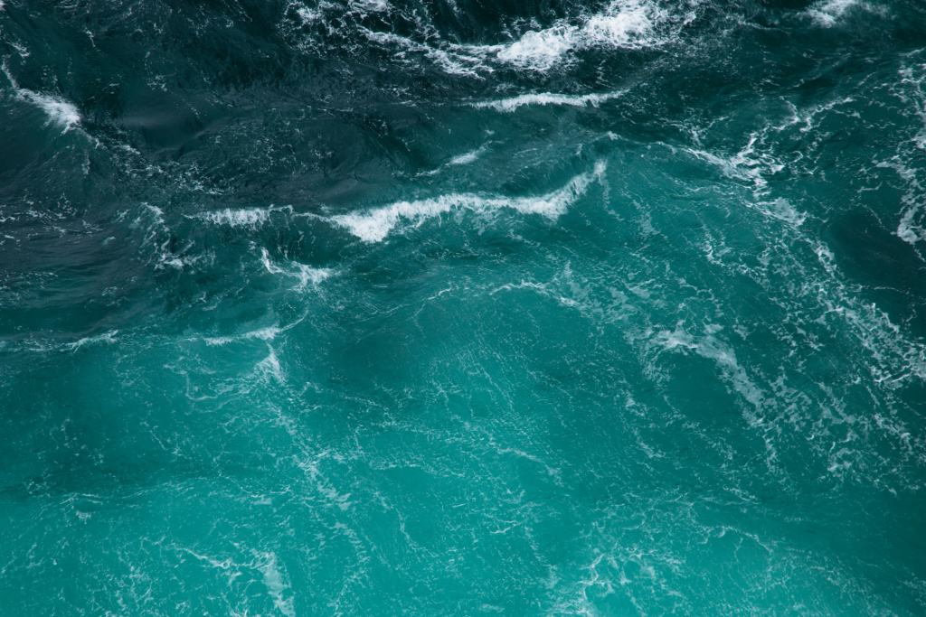 Diseño sin título (8)